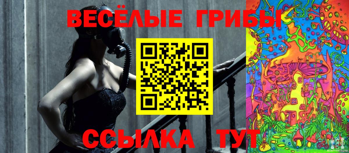 Псилоцибиновые грибы Psilocybine cubensis Кызыл