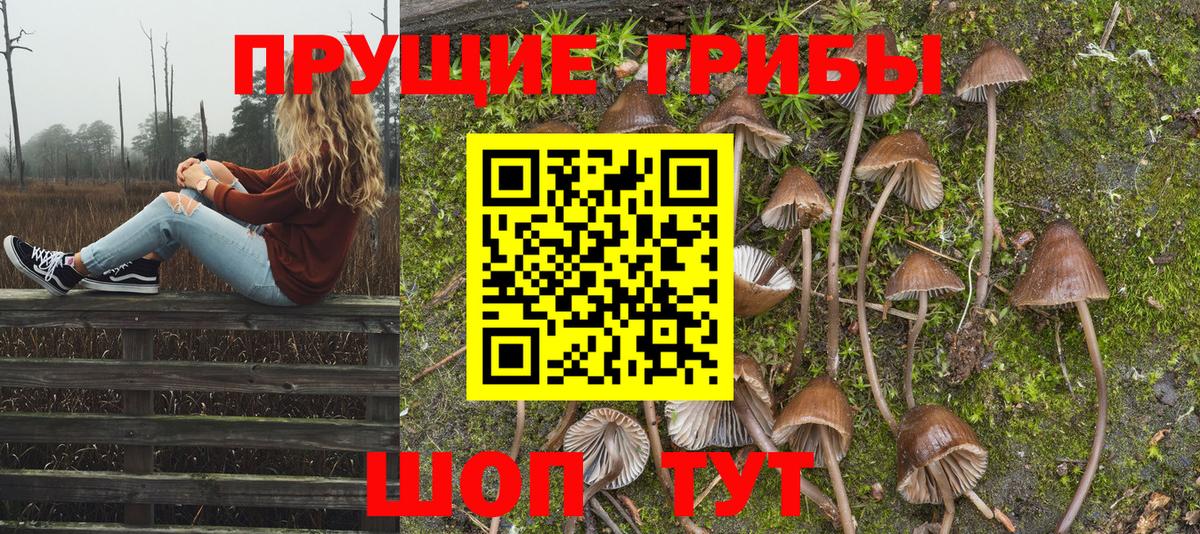Галлюциногенные грибы MAGIC MUSHROOMS  Галлюциногенные грибы Psilocybe  закладки  Кызыл 