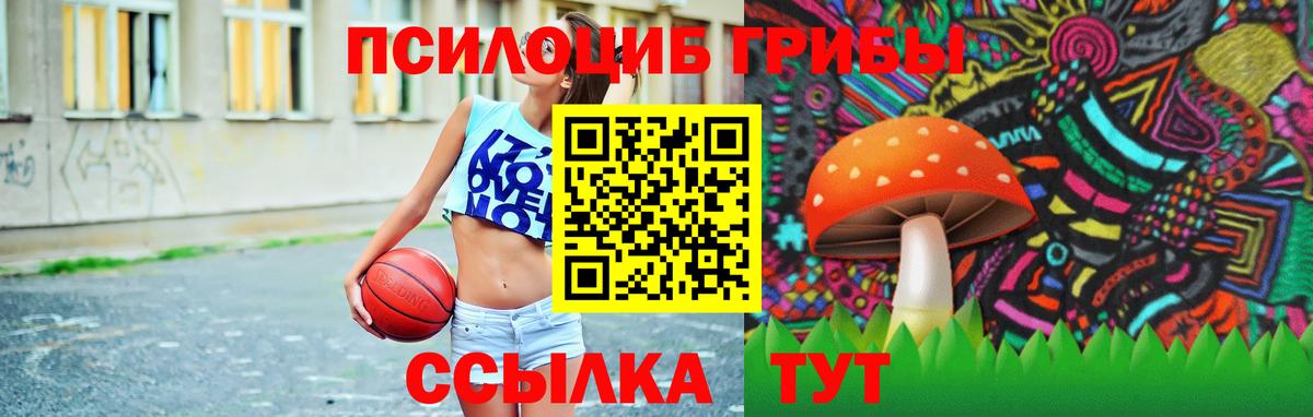 Кызыл  Галлюциногенные грибы Cubensis  Вход с VPN 