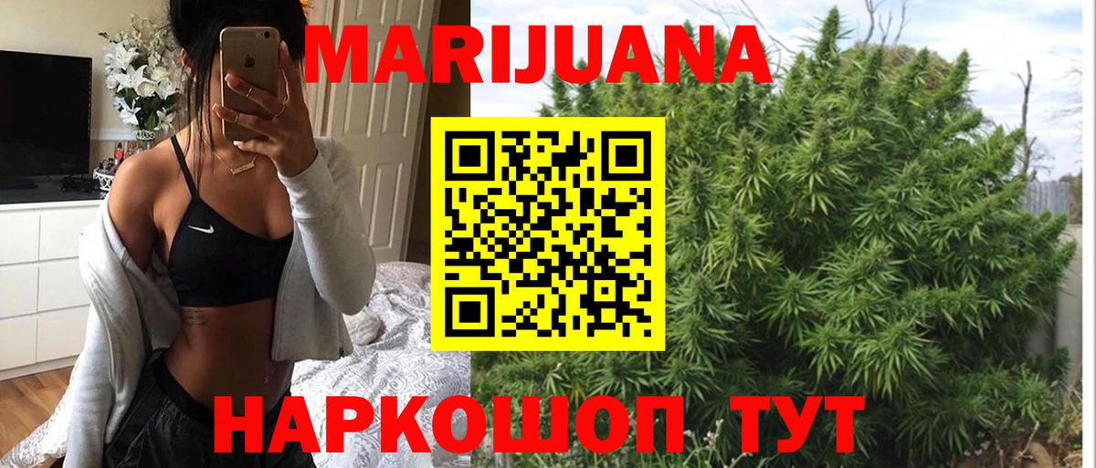 Каннабис индика  Канабис гибрид  Кызыл  Конопля Ganja 